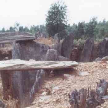 Click para ampliar. Pulsa en el nombre para ver la ficha.